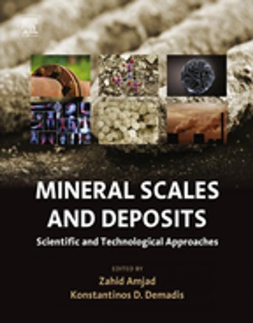 Cover of the book Mineral Scales and Deposits by , Elsevier Science