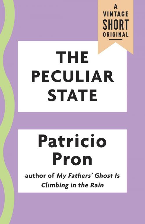 Cover of the book The Peculiar State by Patricio Pron, Knopf Doubleday Publishing Group