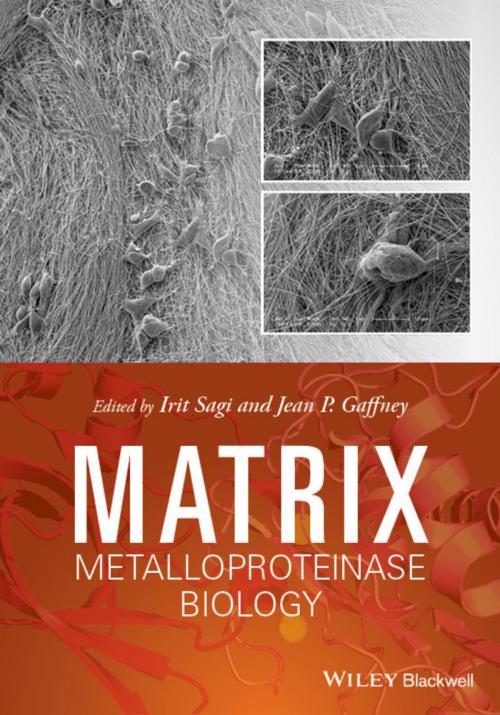 Cover of the book Matrix Metalloproteinase Biology by , Wiley