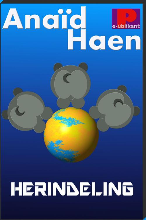 Cover of the book Herindeling by Anaïd Haen, e-Publikant