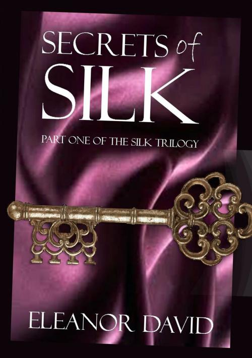 Cover of the book Secrets of Silk by Eleanor David, Eleanor David