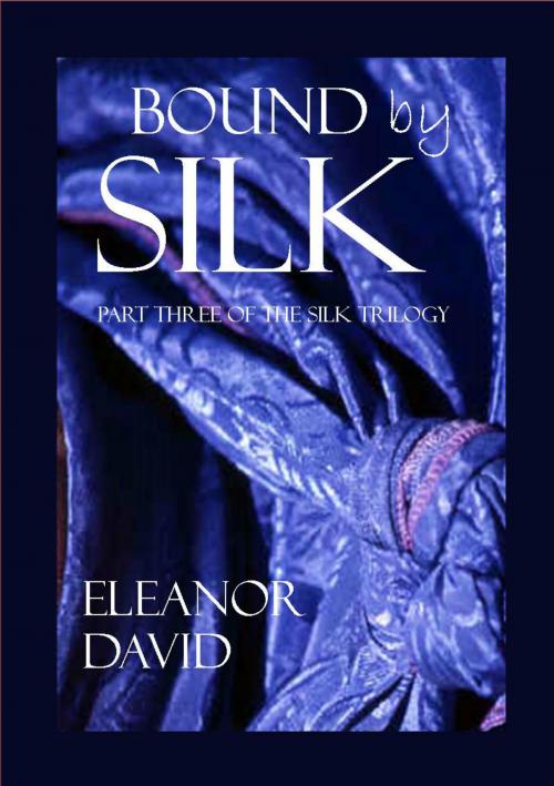 Cover of the book Bound by Silk by Eleanor David, Eleanor David