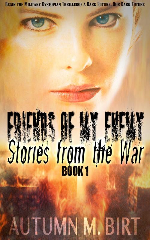 Cover of the book Stories from the War: Military Dystopian Thriller by Autumn M. Birt, Autumn M. Birt