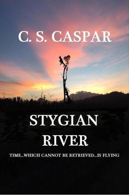 Cover of the book Stygian River by C.S. Caspar, C.S. Caspar