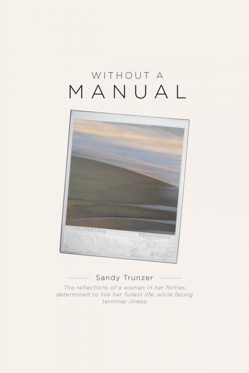 Cover of the book Without a Manual by Sandy Trunzer, FriesenPress