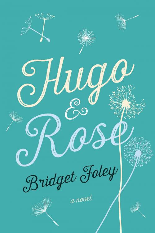 Cover of the book Hugo & Rose by Bridget Foley, St. Martin's Press