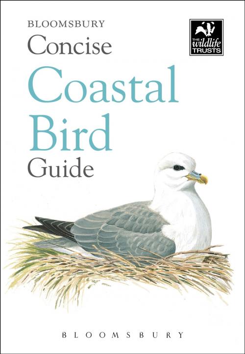 Cover of the book Concise Coastal Bird Guide by Bloomsbury Publishing, Bloomsbury Publishing