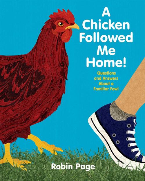 Cover of the book A Chicken Followed Me Home! by Robin Page, Beach Lane Books