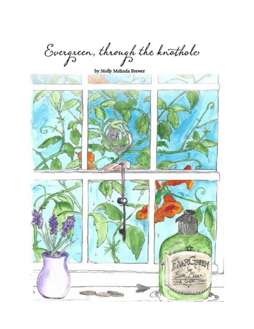 Cover of the book Evergreen, Through the Knothole. by Molly Melinda Brewer, BookBaby