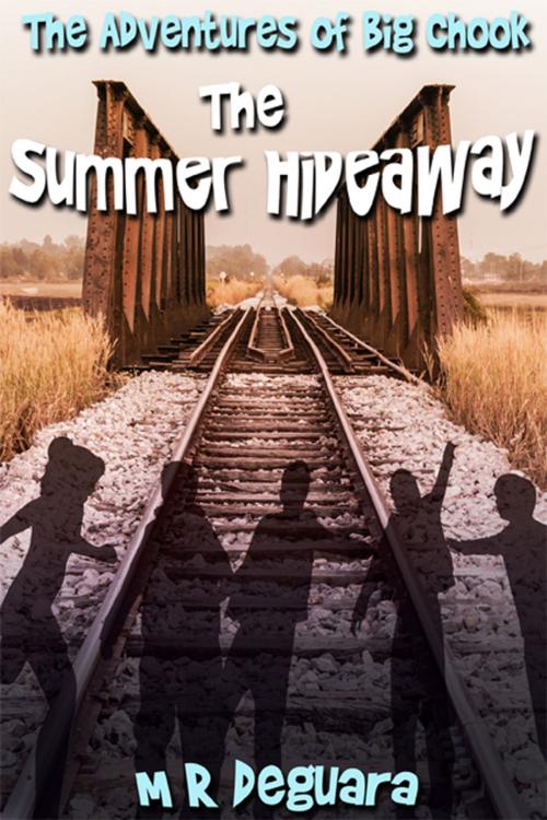 Cover of the book The Summer Hideaway by M.R. Deguara, eXtasy Books Inc