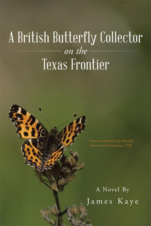 Cover of the book A British Butterfly Collector on the Texas Frontier by James Kaye, Trafford Publishing