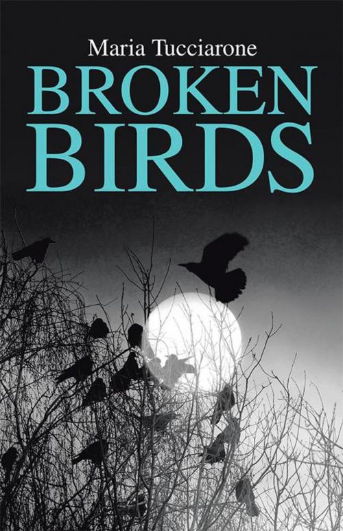 Cover of the book Broken Birds by Maria Tucciarone, Trafford Publishing