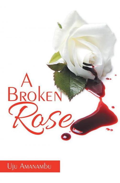 Cover of the book A Broken Rose by Uju Amanambu, Xlibris US