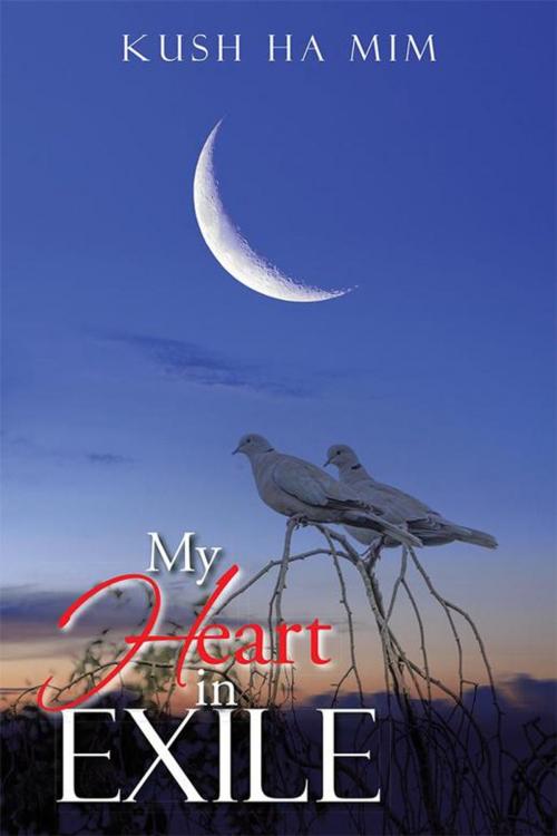 Cover of the book My Heart in Exile by Kush Ha Mim, Xlibris US