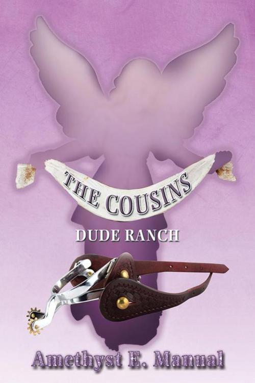 Cover of the book The Cousins by Amethyst E. Manual, Xlibris US