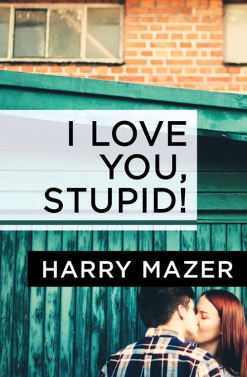 Cover of the book I Love You, Stupid! by Harry Mazer, Open Road Media