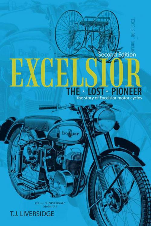 Cover of the book Excelsior the Lost Pioneer by T.J. Liversidge, AuthorHouse UK