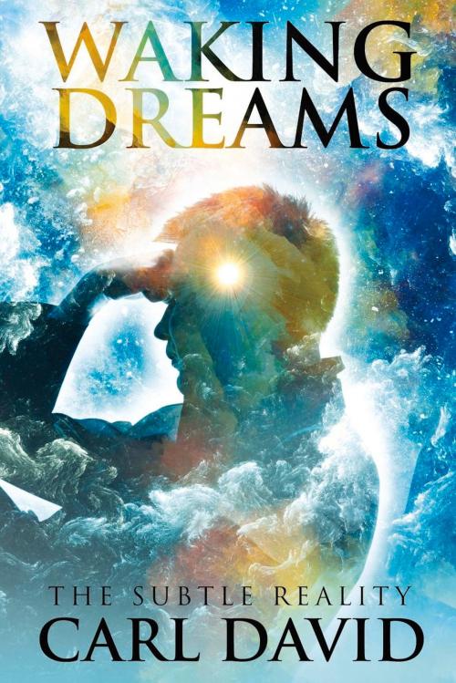 Cover of the book Waking Dreams by Carl David, Motivational Press