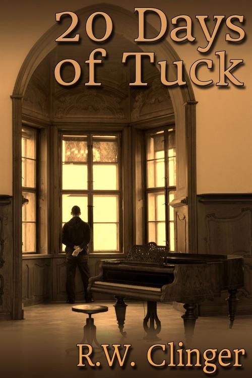 Cover of the book 20 Days of Tuck by R.W. Clinger, JMS Books LLC