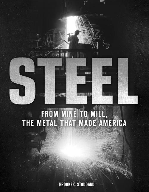 Cover of the book Steel by Brooke C. Stoddard, Voyageur Press