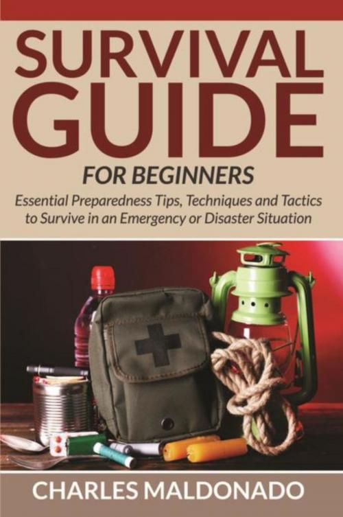 Cover of the book Survival Guide For Beginners by Charles Maldonado, Mihails Konoplovs
