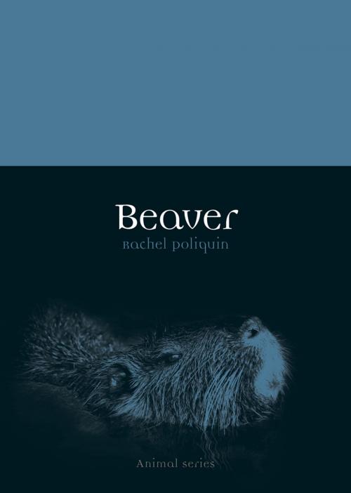 Cover of the book Beaver by Rachel Poliquin, Reaktion Books