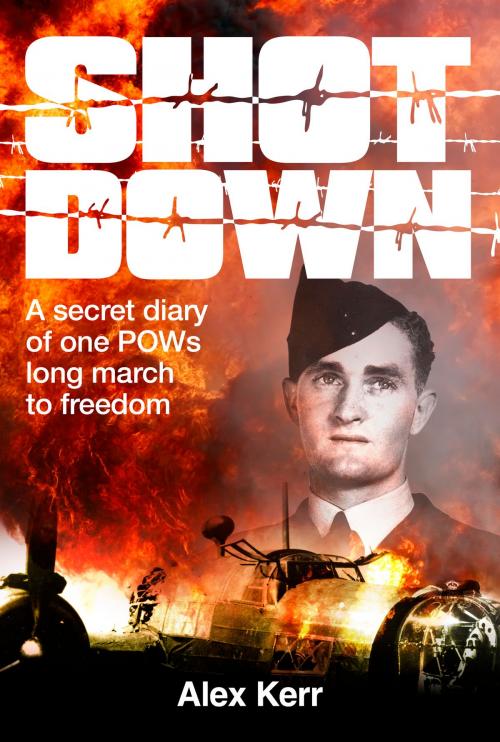 Cover of the book Shot Down by Alex Kerr, Big Sky Publishing