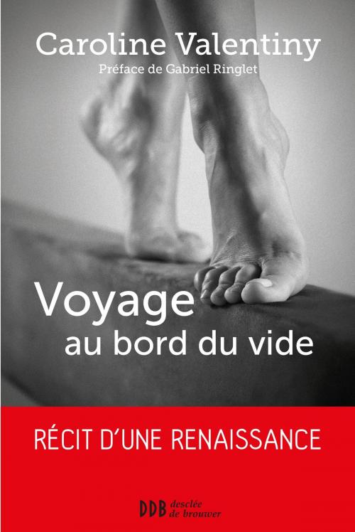 Cover of the book Voyage au bord du vide by Caroline Valentiny, Gabriel Ringlet, Desclée De Brouwer