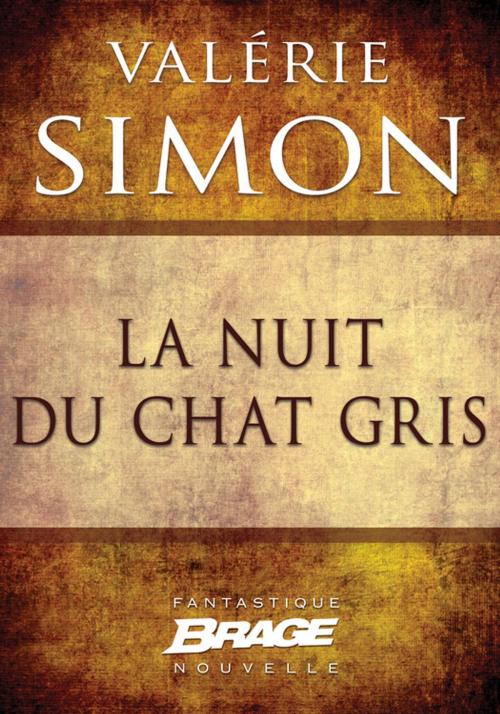 Cover of the book La Nuit du chat gris by Valérie Simon, Bragelonne