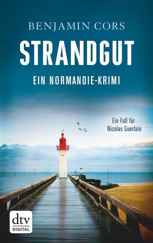 Cover of the book Strandgut by Benjamin Cors, dtv