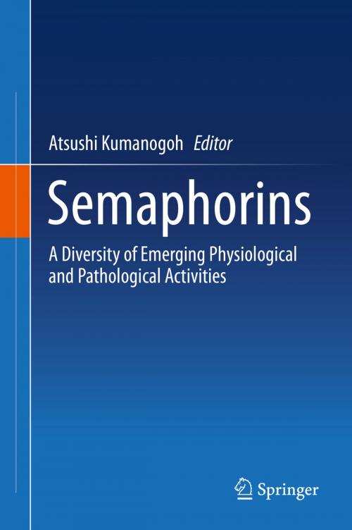 Cover of the book Semaphorins by , Springer Japan