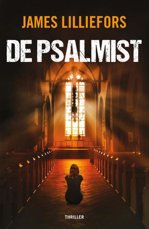 Cover of the book De psalmist by James Lilliefors, VBK Media