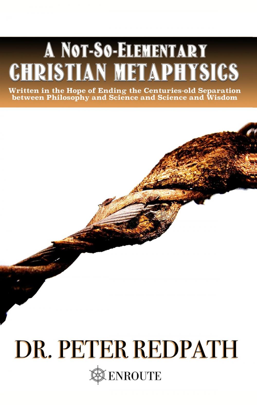 Big bigCover of A Not-So-Elementary Christian Metaphysics