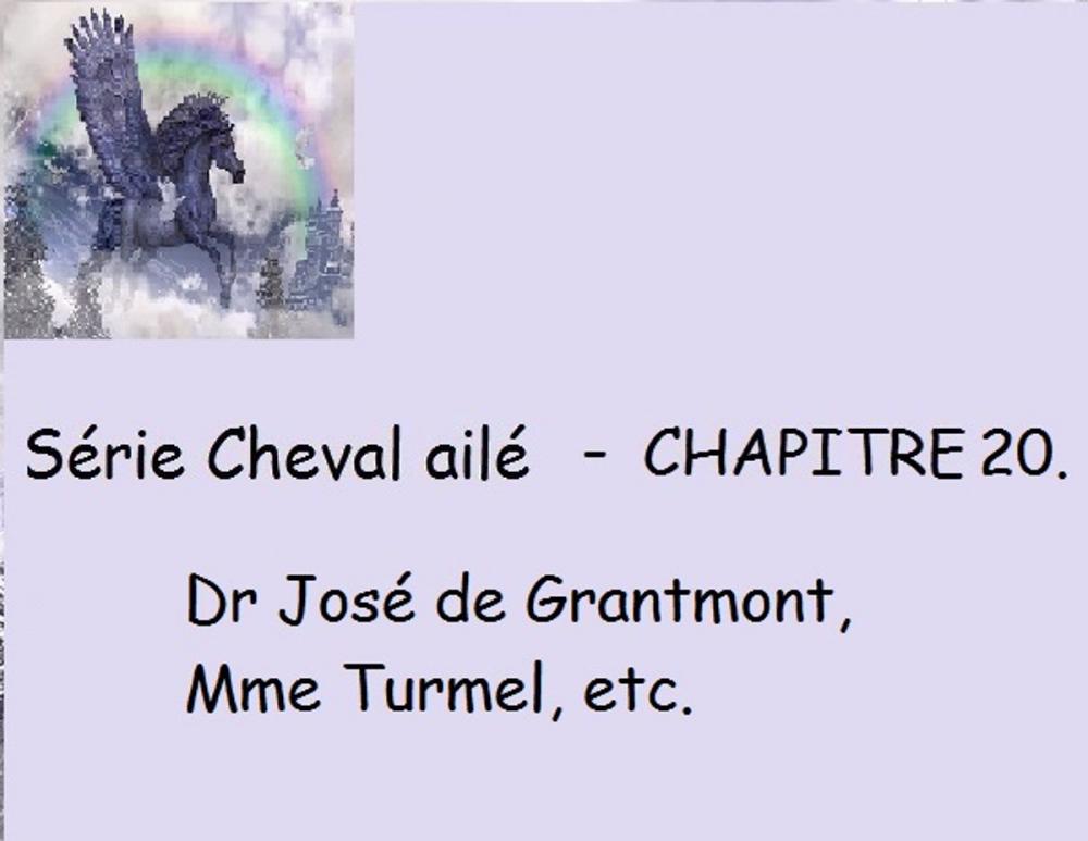 Big bigCover of Chapitre 20 - Dr José de Grantmont, Mme Turmel, etc.