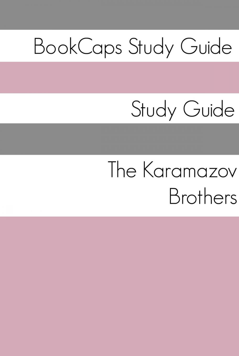 Big bigCover of Study Guide: The Karamazov Brothers