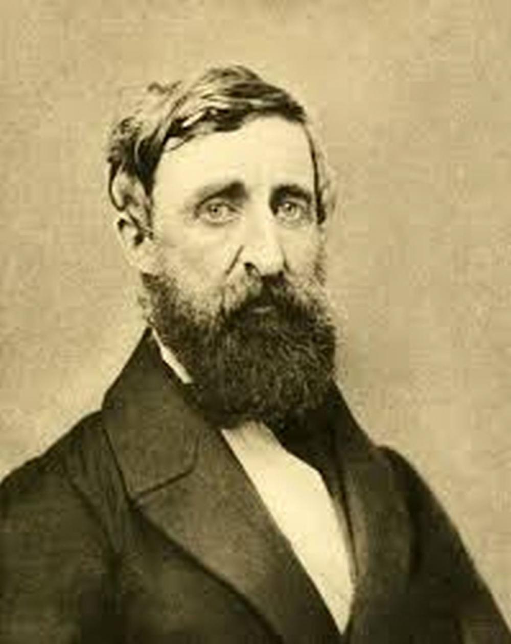 Big bigCover of Works of Henry David Thoreau