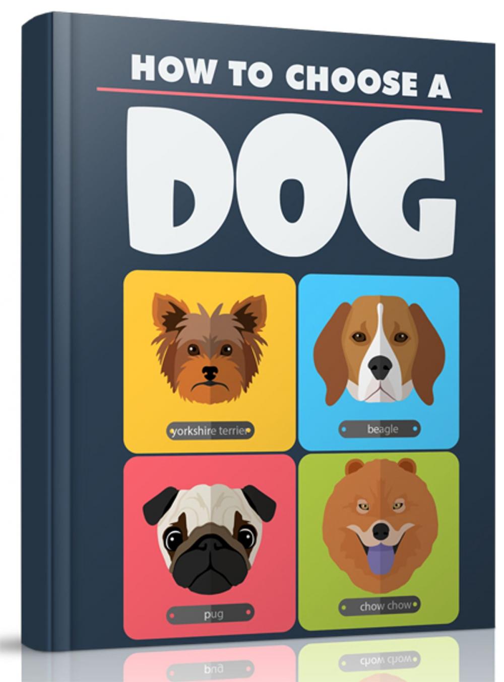 Big bigCover of How to Choose A Dog