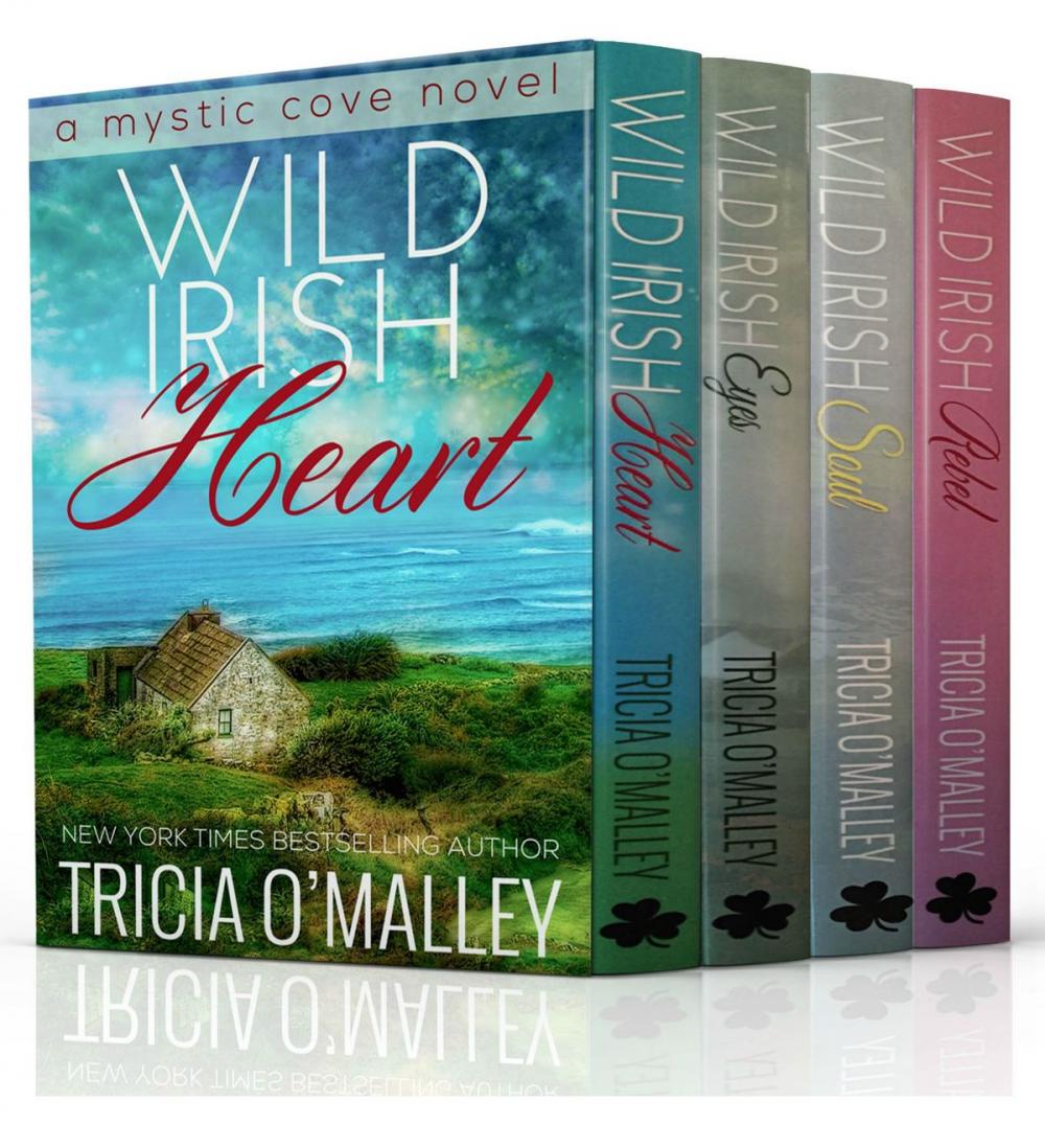 Big bigCover of The Mystic Cove Series Boxed Set