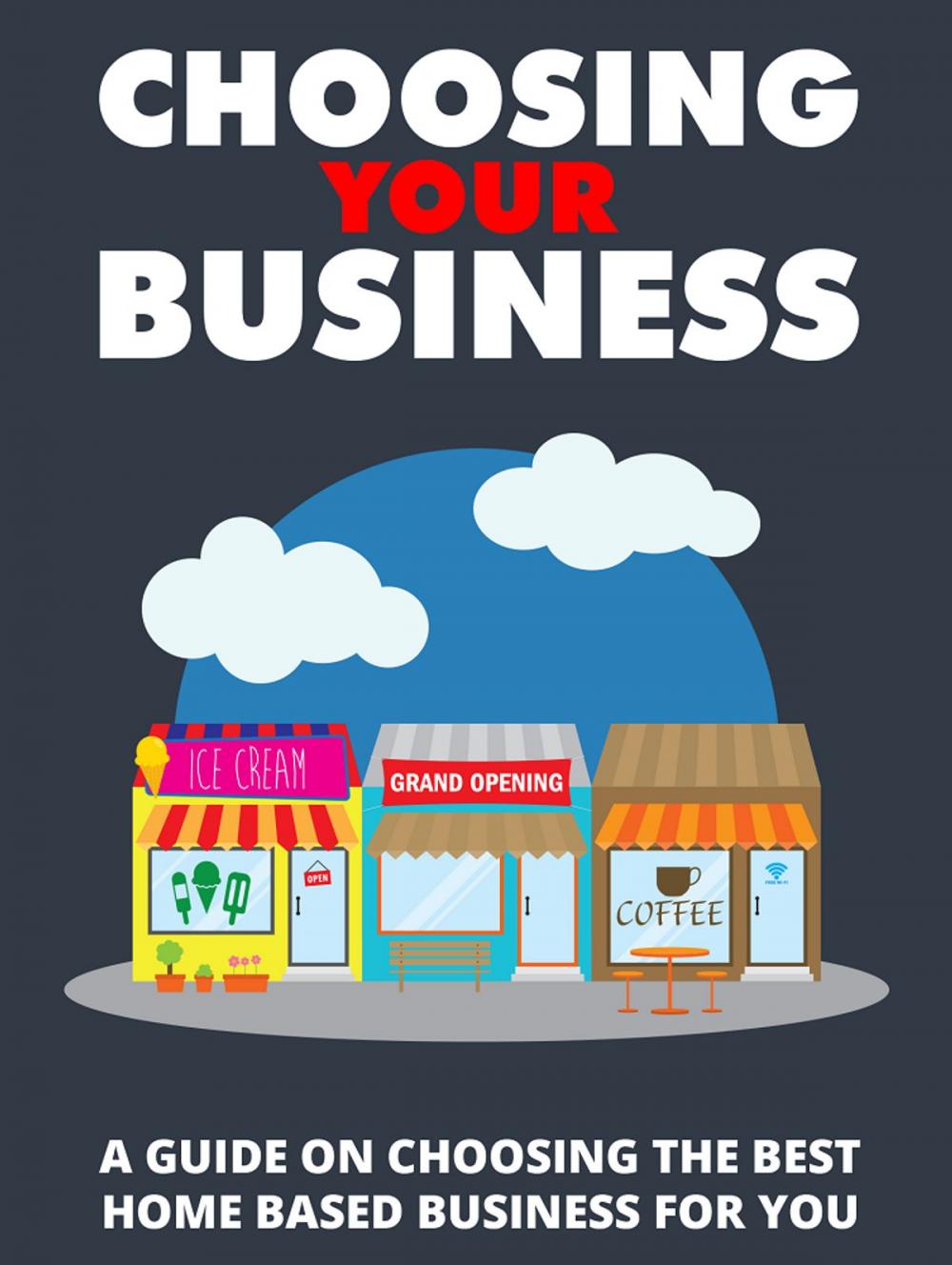 Big bigCover of Choosing Your Business