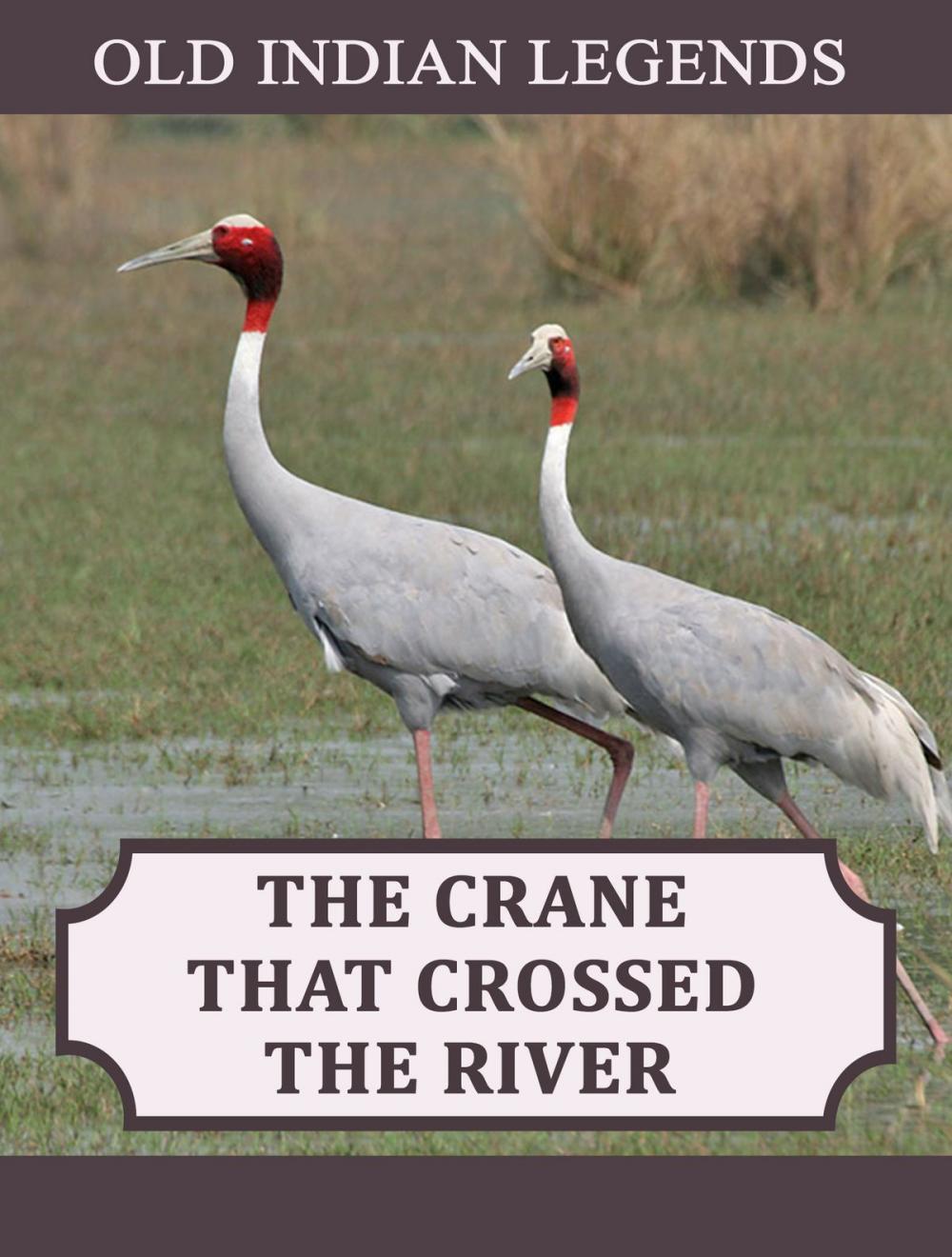 Big bigCover of The Crane that Crossed the River