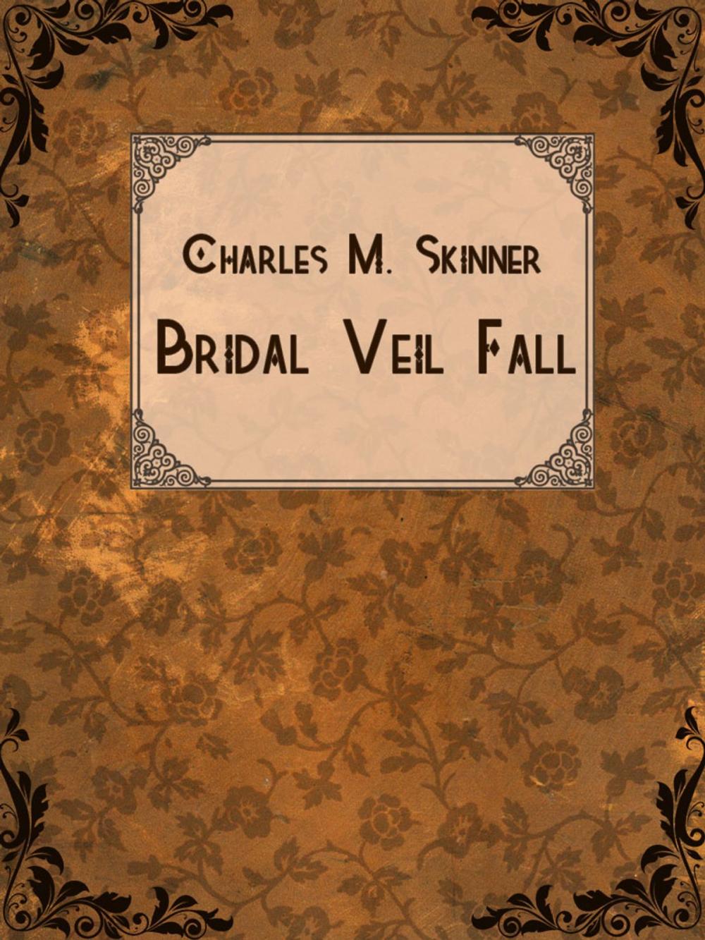 Big bigCover of Bridal Veil Fall