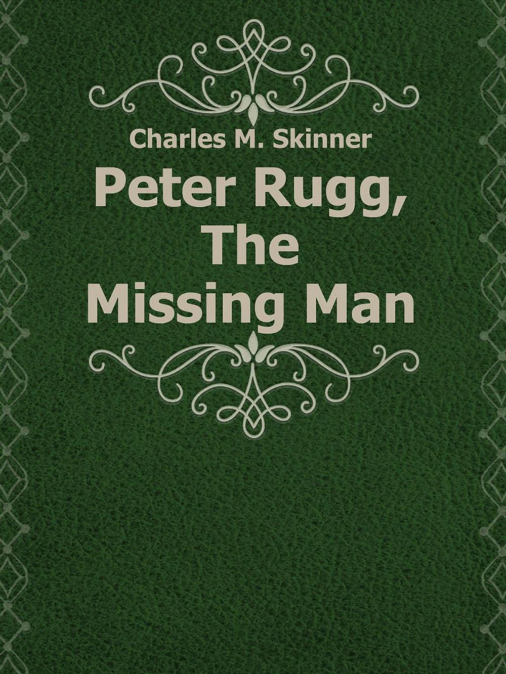 Big bigCover of Peter Rugg, The Missing Man