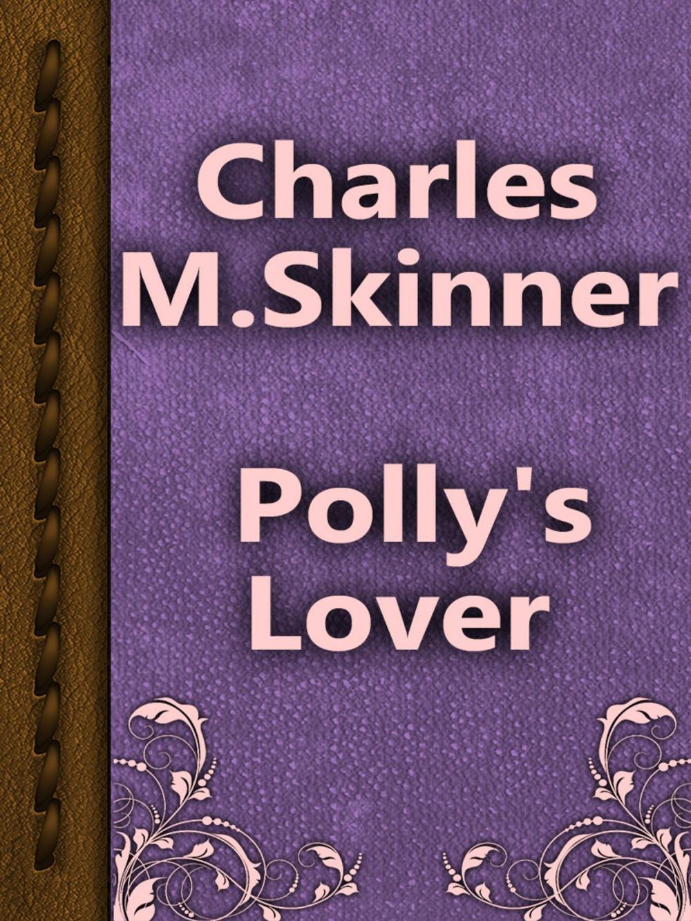 Big bigCover of Polly's Lover