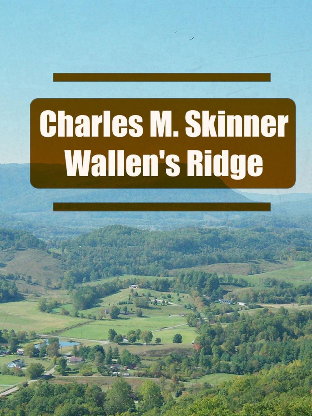 Big bigCover of Wallen's Ridge