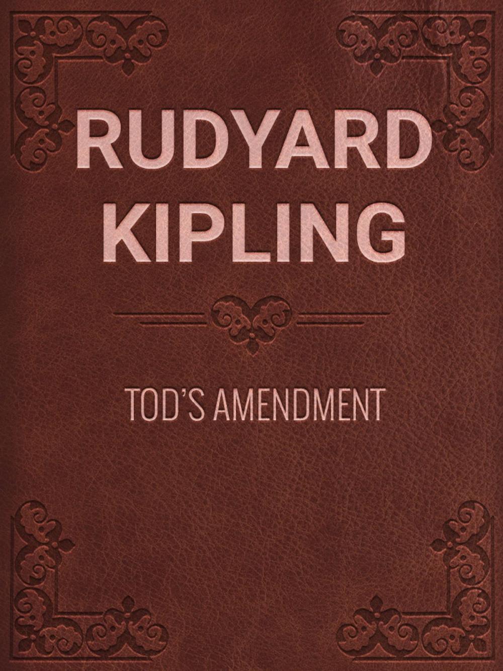 Big bigCover of TOD'S AMENDMENT