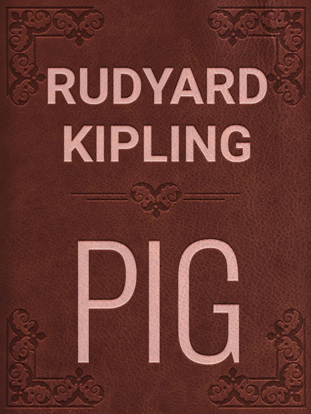 Big bigCover of PIG