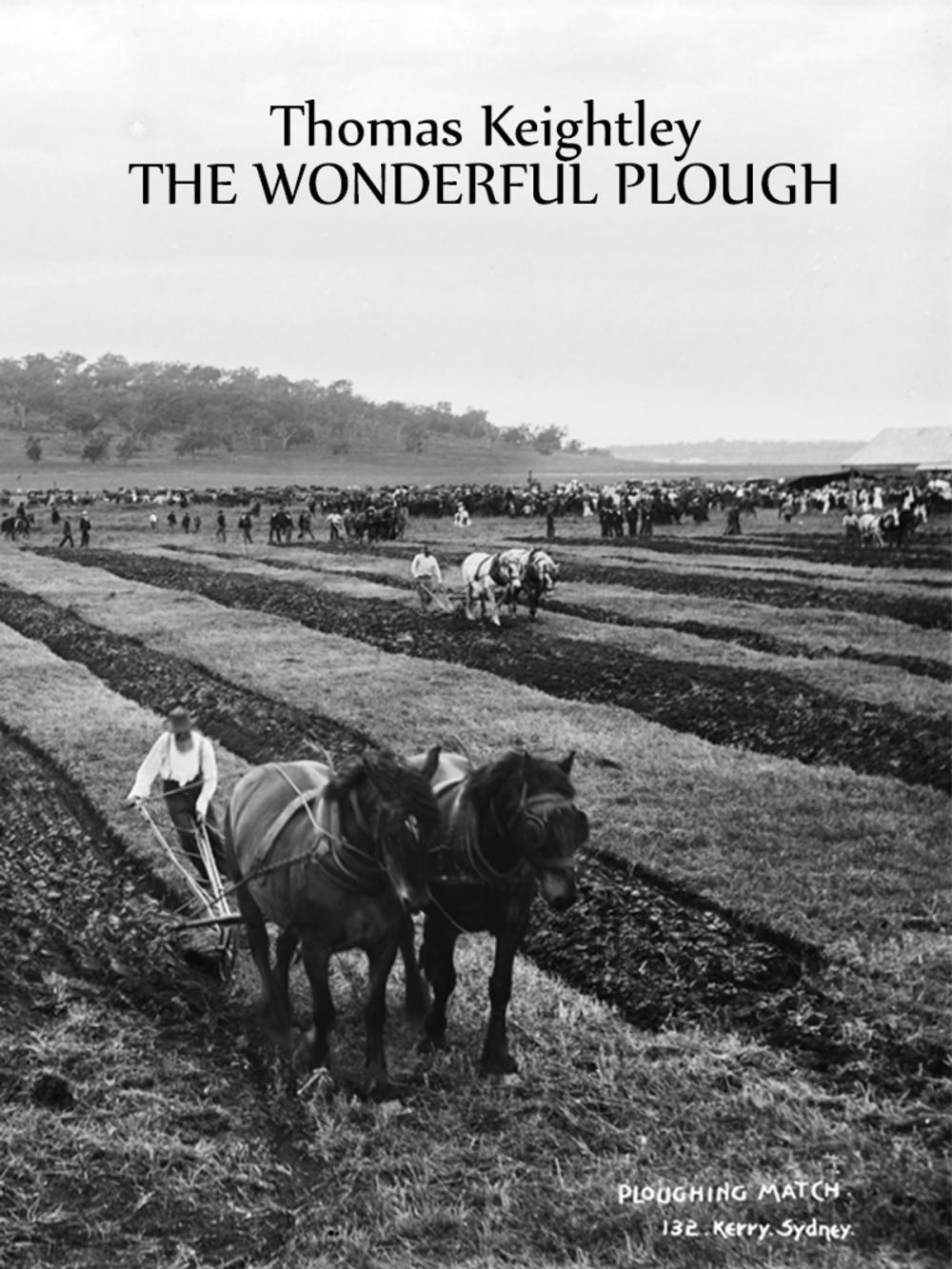 Big bigCover of THE WONDERFUL PLOUGH