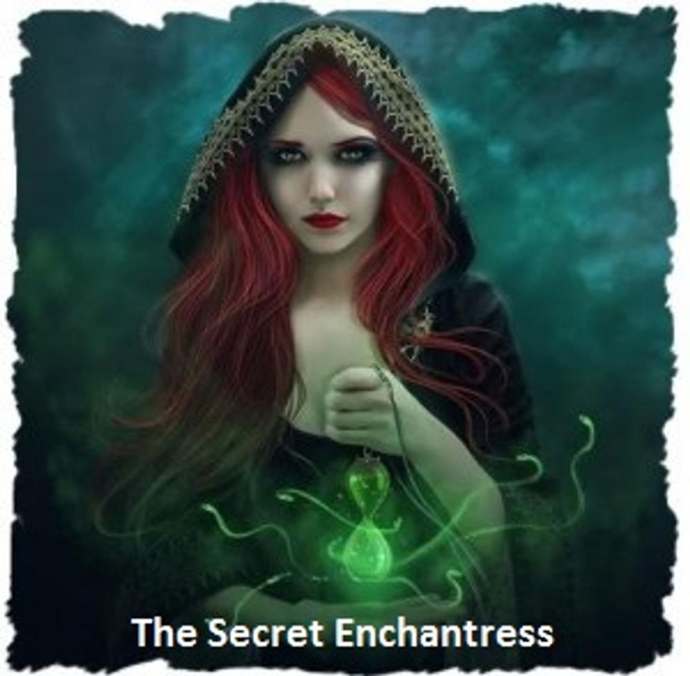 Big bigCover of The Secret Enchantress