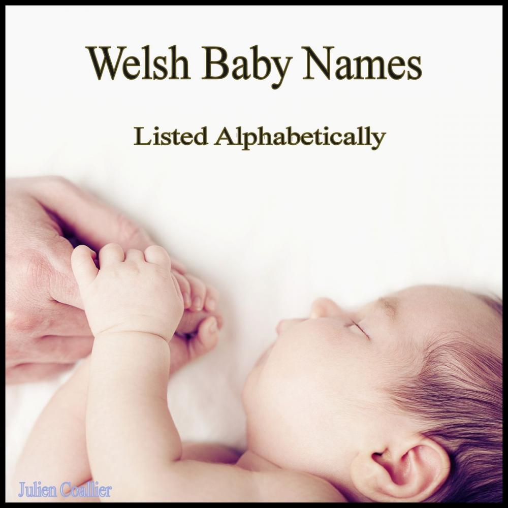 Big bigCover of Welsh Baby Names