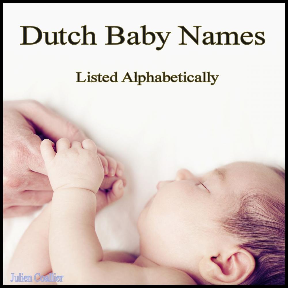 Big bigCover of Dutch Baby Names